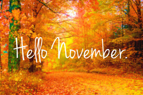 Wacky November Holidays To Use In Your Social Media Posts