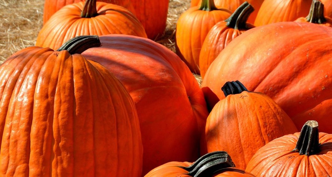 October Holidays To Use In Your Social Media Content